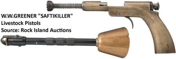 310-CK-GUN