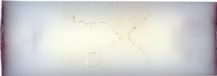 5.6mm TROUND FLECHETTE