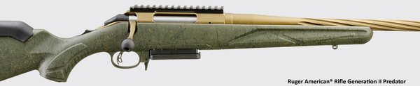 204-RUGER-Rifle