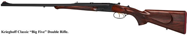 500-416-NE-Rifle