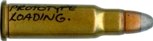 256 WINCHESTER MAGNUM