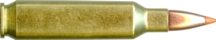 22 NOSLER
