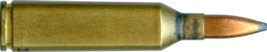 250 HEAVY EXPRESS SHORT ACTION MAGNUM