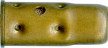 450-LONG-CF-(50-64-CASE)-GG-FULL