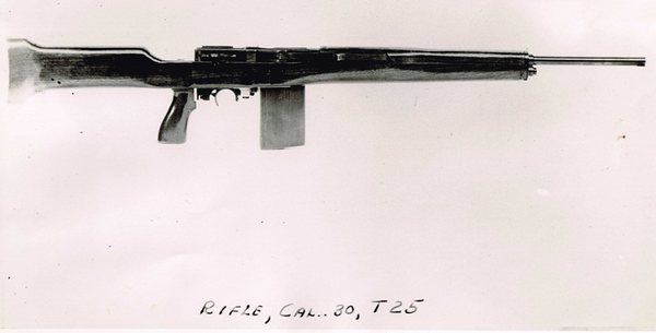 Springfield-T25