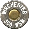 300-WSM-WIN2