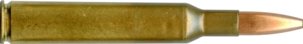 257 HELLBENDER