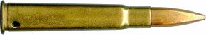303-ZA-DUMMY-PMP-7-FULL