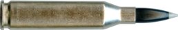 243 WINCHESTER