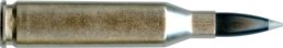 243 WINCHESTER