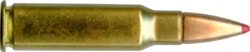 338 MARLIN EXPRESS