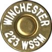 223-WSSM