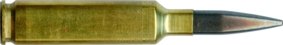 257 KOEVOET