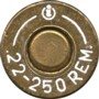 22-250-REM-IGMAN