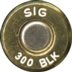 300-BLACKOUT-SIG-1
