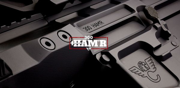 300-HAM'R-pic1