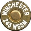 243-WSSM