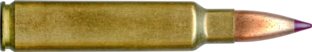 33 NOSLER