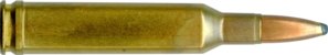 270 ACKLEY MAGNUM