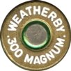 300-WEATHERBY-wby4