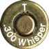 300-WHISPER-T-2