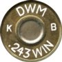 243-WIN-DWM2