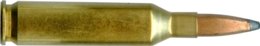 243 RCBS