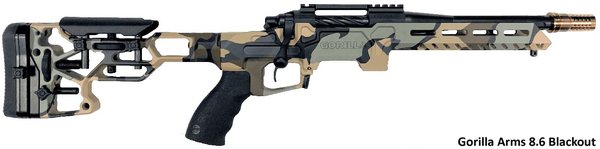 8.6-BLACKOUT-rifle