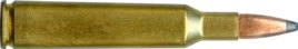 6mm REMINGTON (244 REMINGTON)