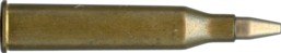 5.6 X 57R RWS