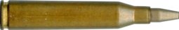 5.6 X 57 RWS