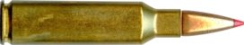 300 RUGER COMPACT MAGNUM