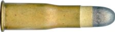 450 PEABODY-MARTINI CARBINE