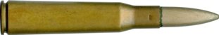 303 MAGNUM RIMLESS