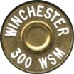 300-WSM-WIN