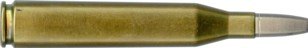6.5 X 68 RWS HUNTING