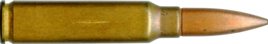 30 LIGHT RIFLE (T-65)